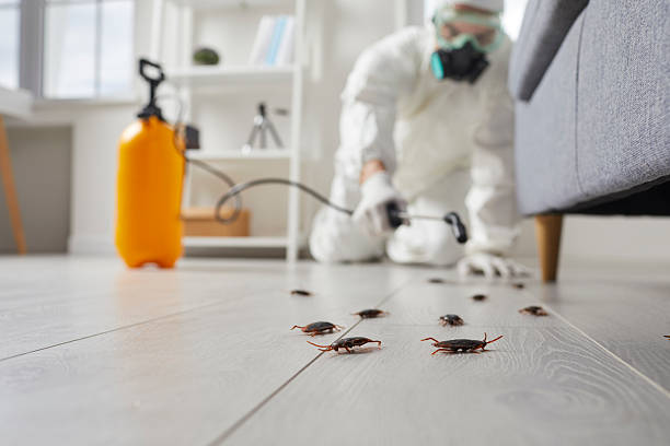 Commercial Kitchen Cockroach Control in Gibbon